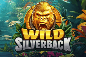 Wild Silverback