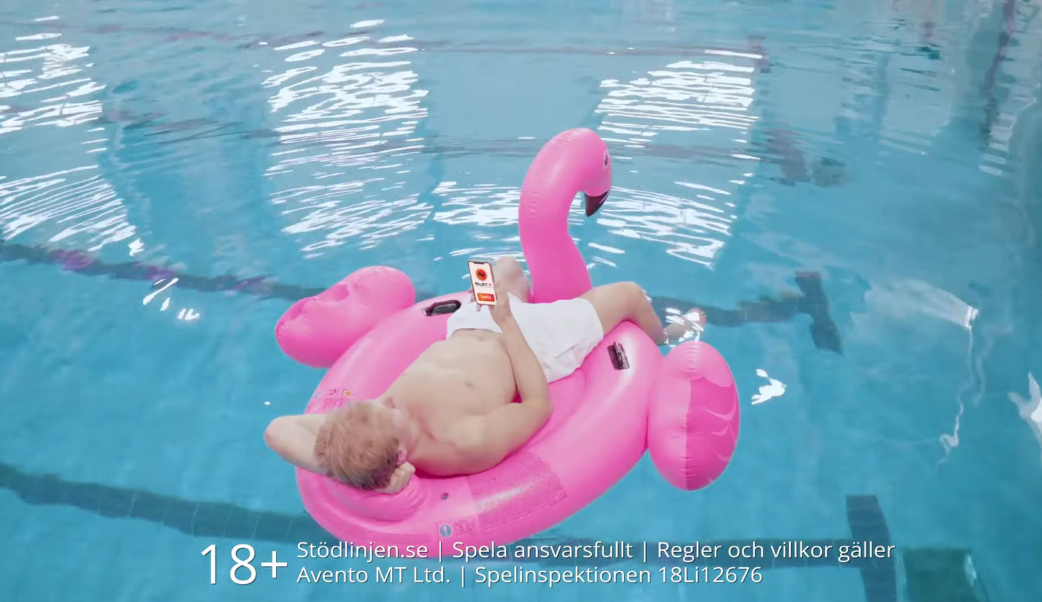 flamingo